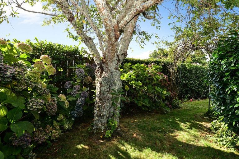 Photo of property in 2/38 Sandwich Road, St Andrews, Hamilton, 3200