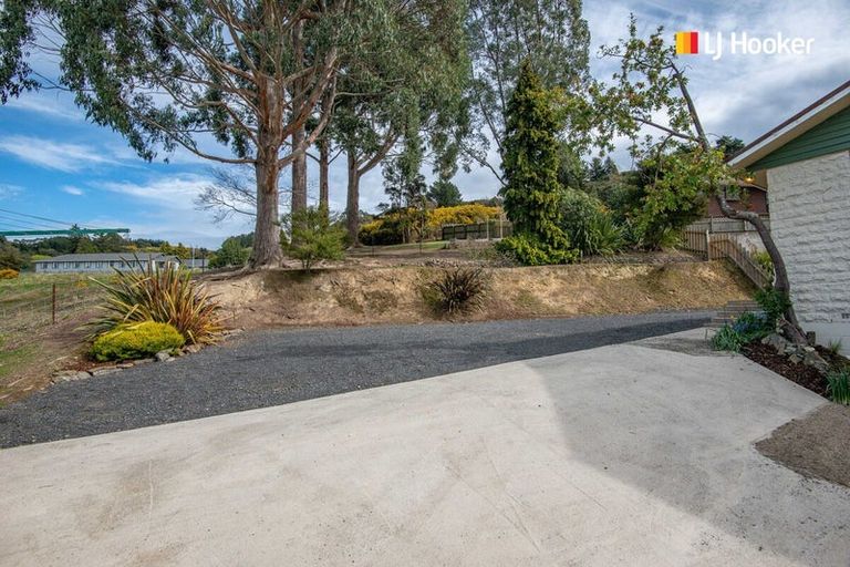 Photo of property in 31 Saint Albans Street, Bradford, Dunedin, 9011