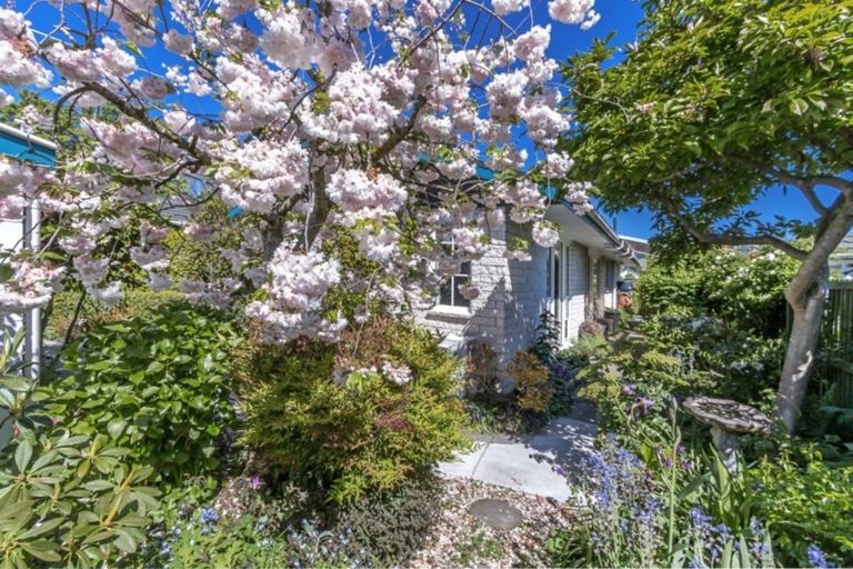 Photo of property in 1/144a Fisher Avenue, Beckenham, Christchurch, 8023