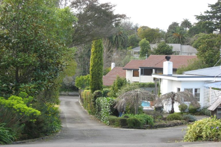 Photo of property in 77 Mchardy Street, Havelock North, 4130