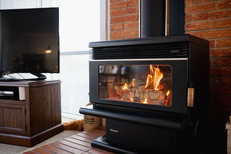 Photo of property in 20 Mannering Street, Waverley, Dunedin, 9013