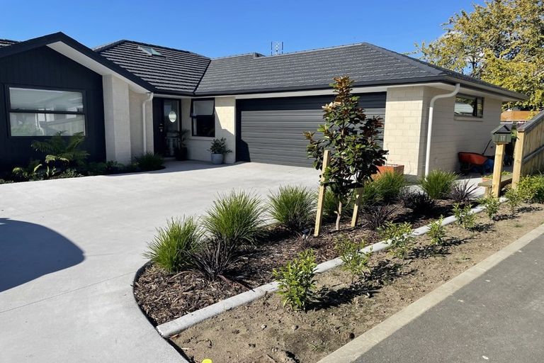 Photo of property in 11 Nelson Lane, Omokoroa, 3114