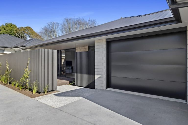 Photo of property in 21b Sycamore Grove, Lower Vogeltown, New Plymouth, 4310