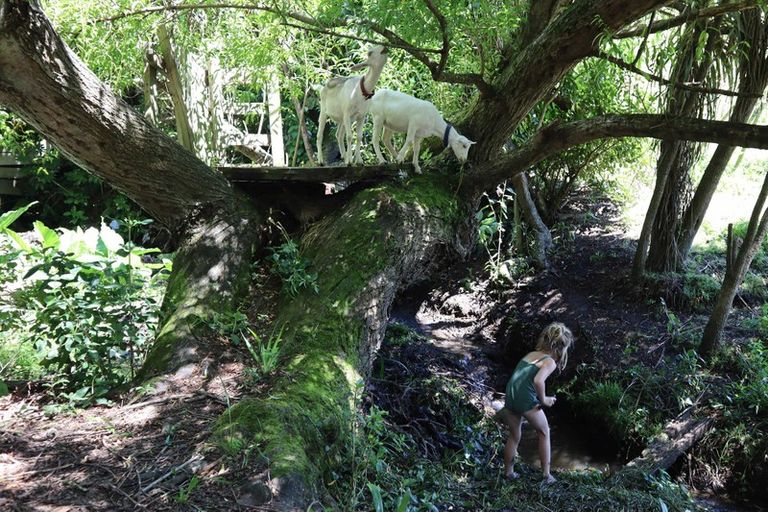 Photo of property in 27 Galt Street, Hawera, 4610