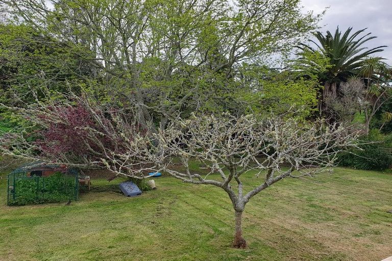 Photo of property in 29 Roberta Avenue, Glendowie, Auckland, 1071