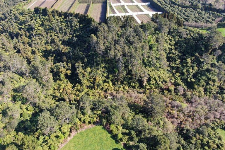 Photo of property in 356 Omanawa Road, Omanawa, Tauranga, 3171