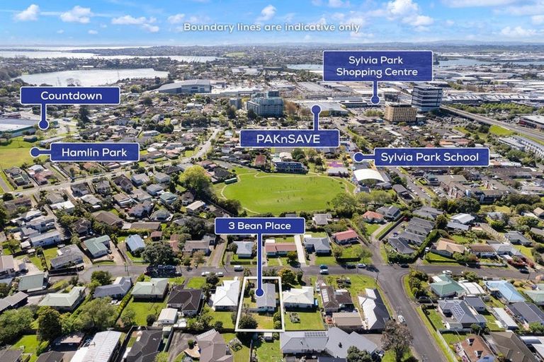 Photo of property in 3 Bean Place, Mount Wellington, Auckland, 1060