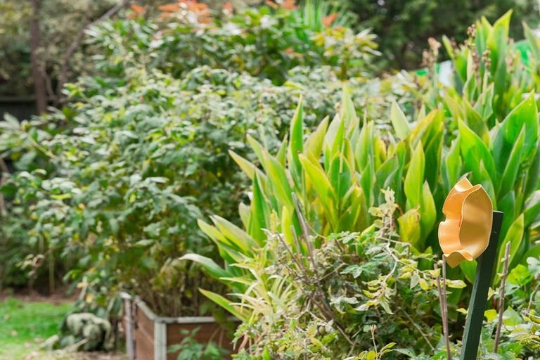 Photo of property in 187b Te Moana Road, Waikanae, 5036