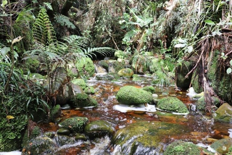 Photo of property in 4870 Karamea Highway, Karamea, 7893