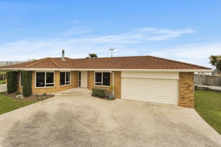 Photo of property in 56 Discovery Drive, Flagstaff, Hamilton, 3210