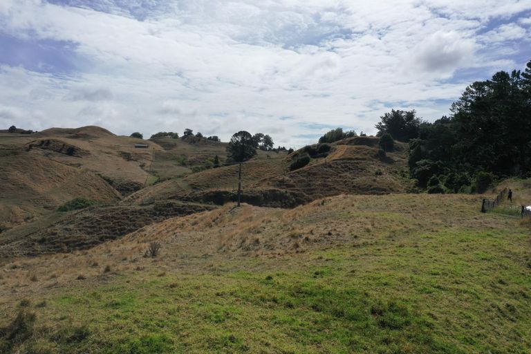 Photo of property in 1017 Waingaro Road, Glen Massey, 3793