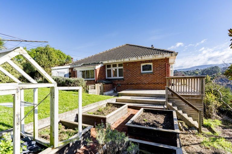 Photo of property in 49 Sunbury Street, Andersons Bay, Dunedin, 9013
