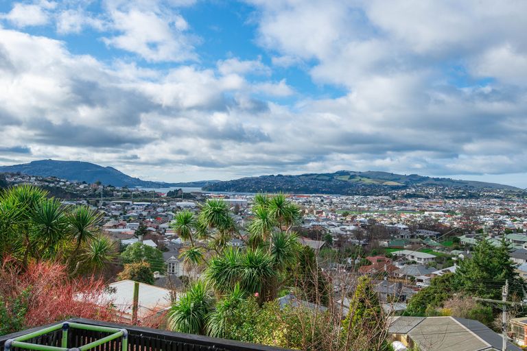 Photo of property in 56 Peter Street, Caversham, Dunedin, 9012
