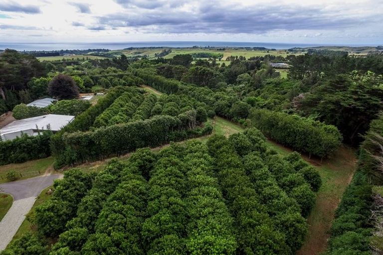 Photo of property in 229 Surrey Hill Road, Kaitake, New Plymouth, 4374