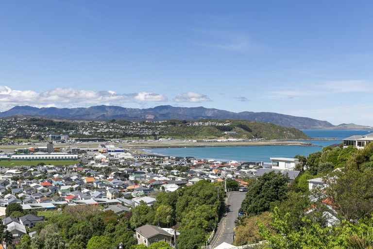 Photo of property in 59 Sutherland Road, Melrose, Wellington, 6023