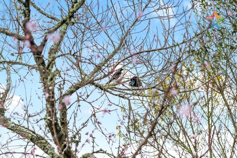 Photo of property in 1279a High Street, Taita, Lower Hutt, 5011