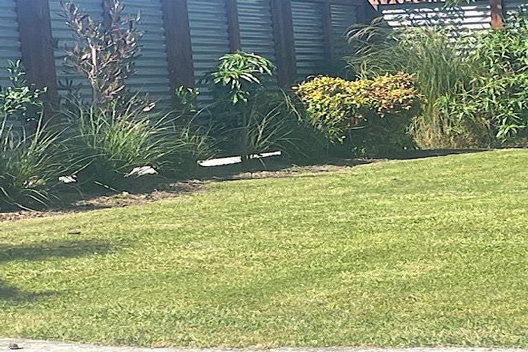 Photo of property in 37 Grey Street, Shannon, 4821