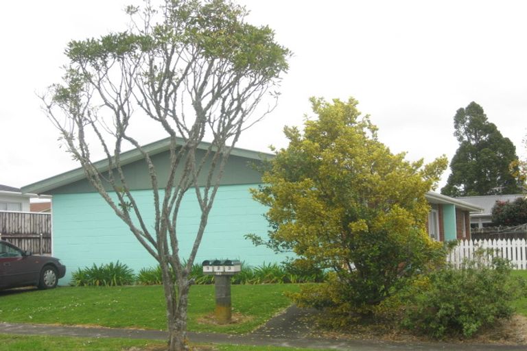 Photo of property in 17 Pleiades Street, Waitara, 4320