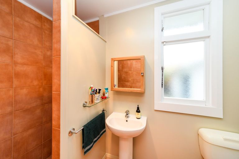 Photo of property in 48 Limbrick Street, Terrace End, Palmerston North, 4410