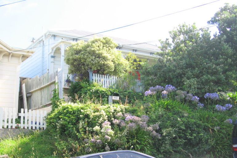 Photo of property in 43 Hankey Street, Mount Cook, Wellington, 6011
