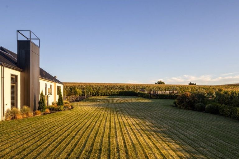 Photo of property in 141 Bank Road, Te Awamutu, Ohaupo, 3883