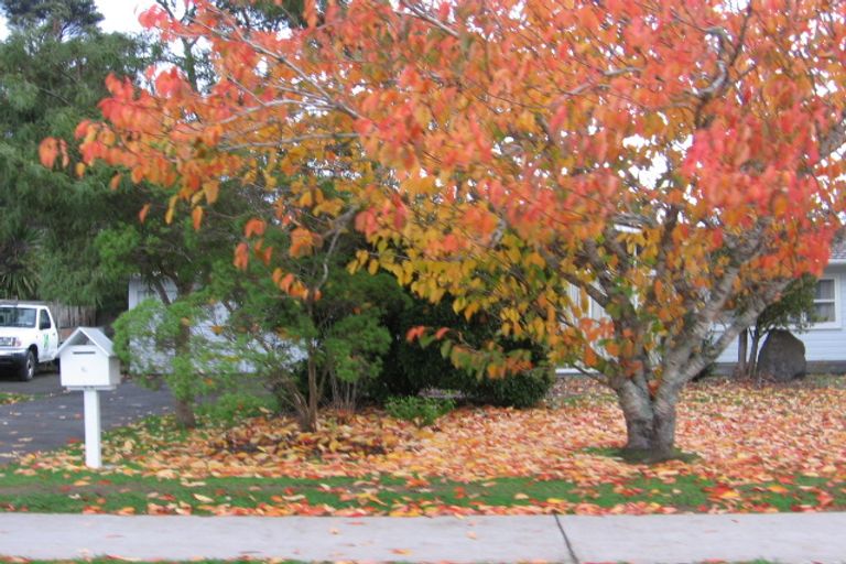 Photo of property in 6 Roland Road, Greenhithe, Auckland, 0632