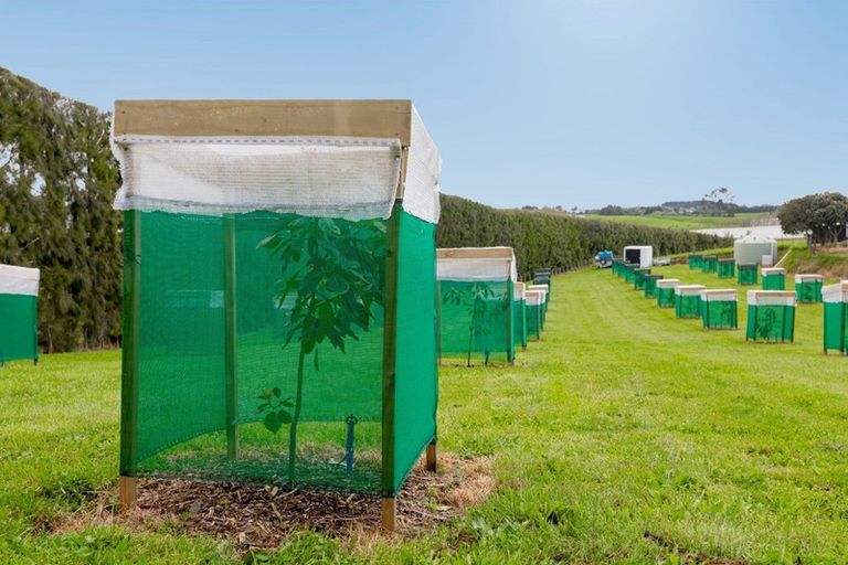 Photo of property in 185 Pongakawa Bush Road, Pongakawa, Te Puke, 3186