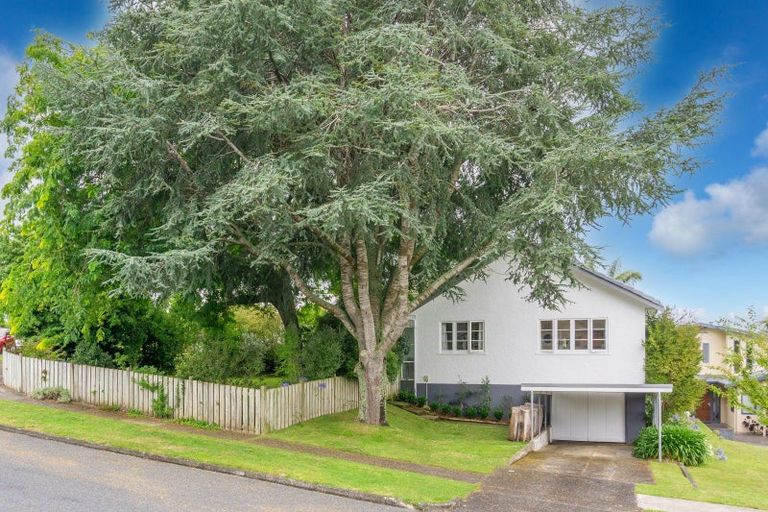 Photo of property in 337 Wallace Terrace, Te Awamutu, 3800