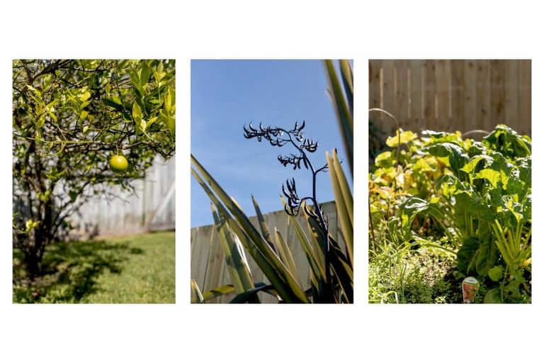 Photo of property in 82 Eversham Road, Mount Maunganui, 3116