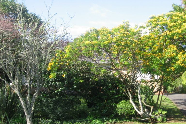 Photo of property in 12 Serjeant Street, Henderson, Auckland, 0612