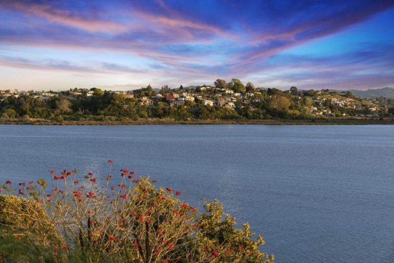 Photo of property in 31 Rewarewa Place, Matua, Tauranga, 3110