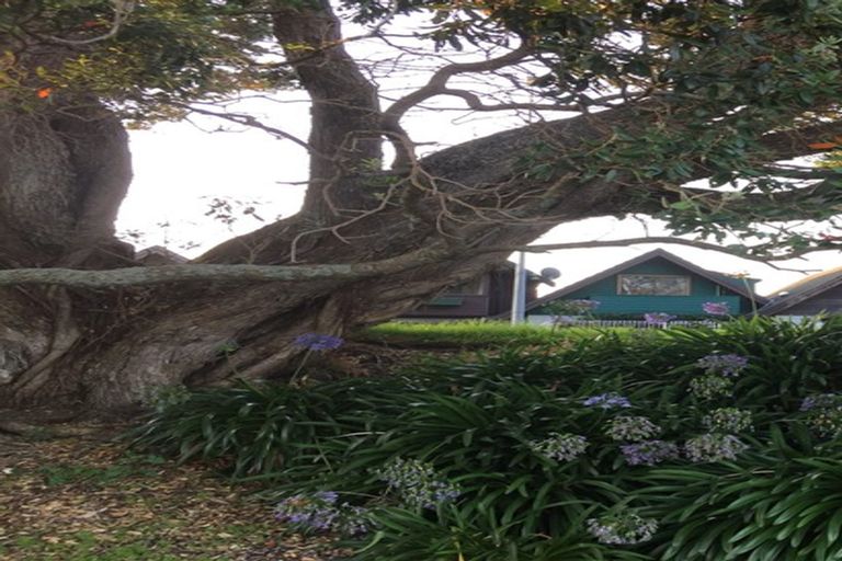 Photo of property in 43b Turret Road, Tauranga South, Tauranga, 3112