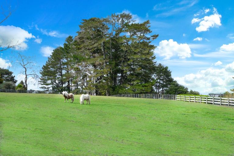 Photo of property in 90 Mcentee Road, Waitakere, Auckland, 0816