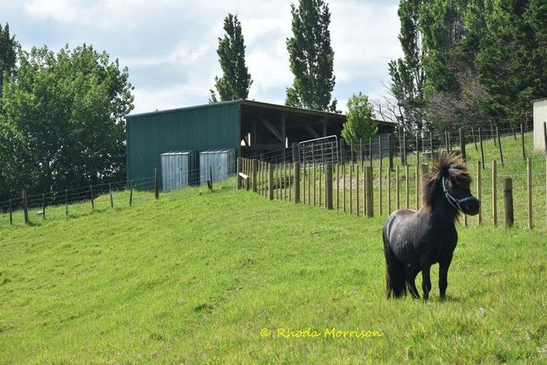 Photo of property in 69 Matakohe Wharf Road, Matakohe, 0593