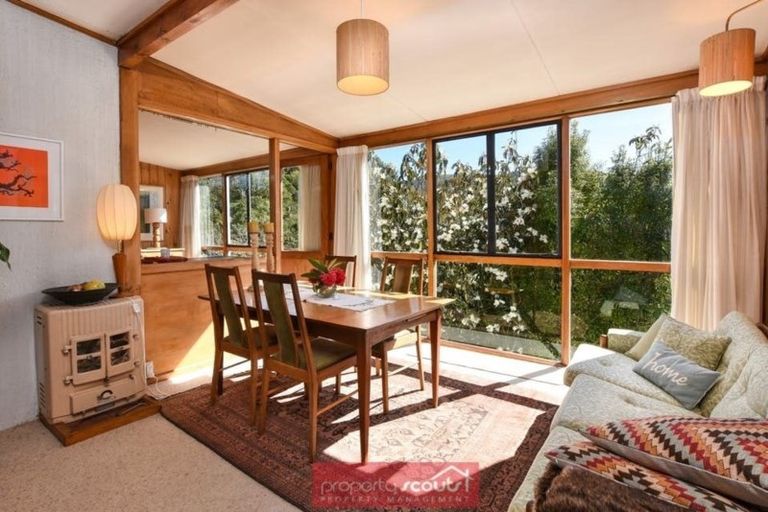 Photo of property in 61 Braeview Crescent, Maori Hill, Dunedin, 9010