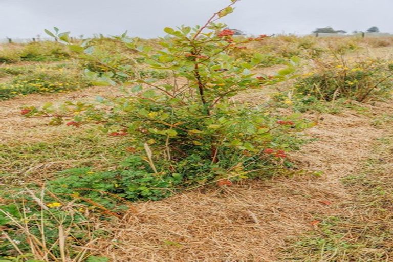 Photo of property in 790 Pungaere Road, Waipapa, 0295