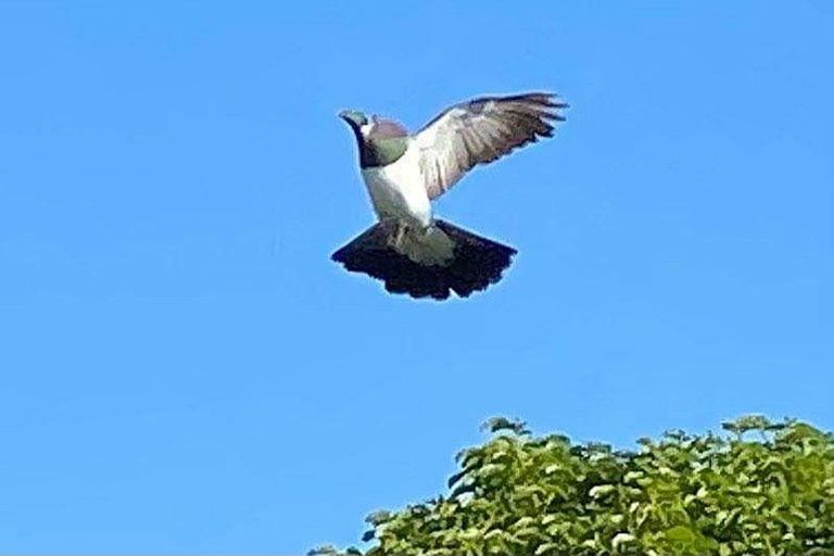 Photo of property in 33 Burtts Road, Durie Hill, Whanganui, 4500