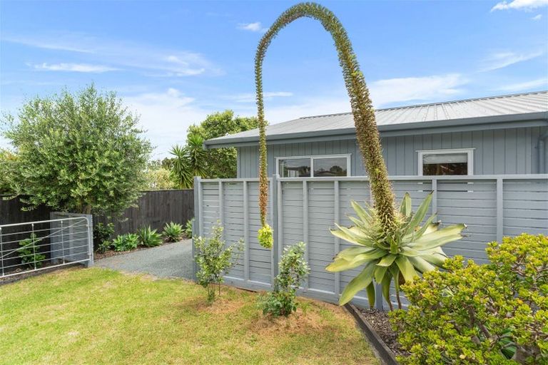 Photo of property in 12a Quail Way, Mangawhai Heads, Mangawhai, 0505