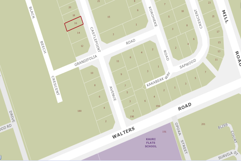 Photo of property in 16 Castlepoint Avenue, Takanini, 2110