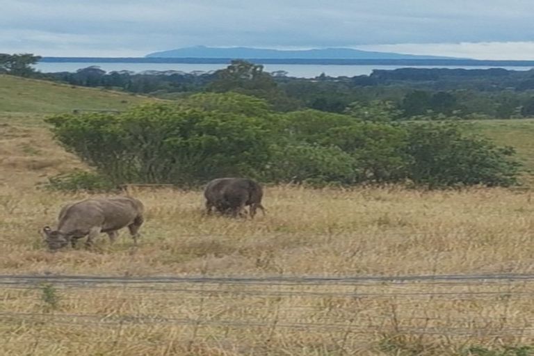 Photo of property in 60 Hume Road, Aongatete, Katikati, 3181