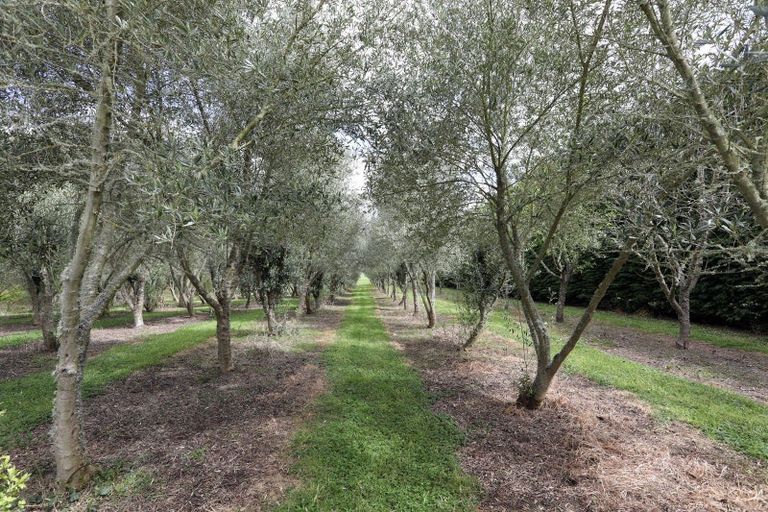 Photo of property in 466 Jeffersons Line, Marton, 4788