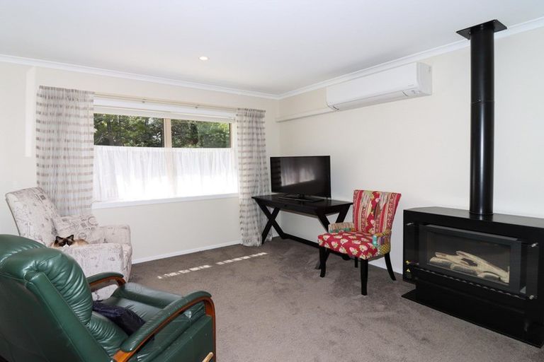 Photo of property in 93 Essex Street, Masterton, 5810