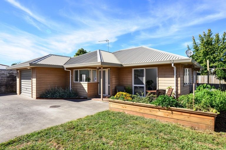 Photo of property in 16b Pearsons Avenue, Claudelands, Hamilton, 3214