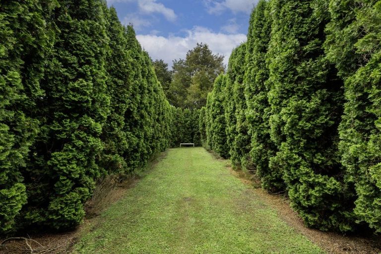 Photo of property in 213 Te Whiti Road, Homebush, Masterton, 5885