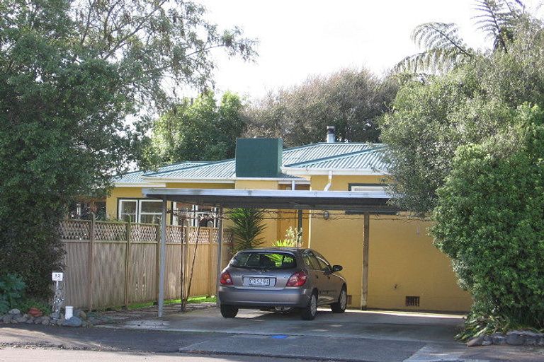 Photo of property in 12 Cremorne Avenue, Hokowhitu, Palmerston North, 4410
