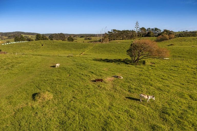 Photo of property in 2640 South Head Road, South Head, Helensville, 0874