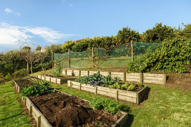 Photo of property in 565a Upper Ohauiti Road, Ohauiti, Tauranga, 3173