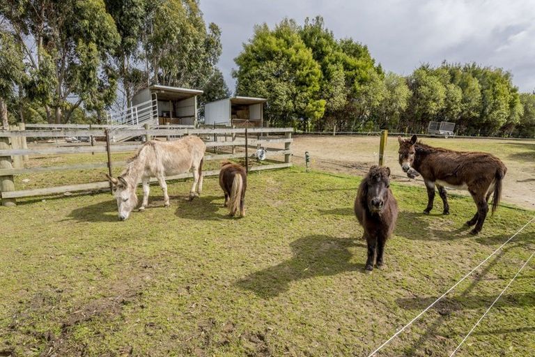 Photo of property in 91 Buckley Road, Shannon, Palmerston North, 4474
