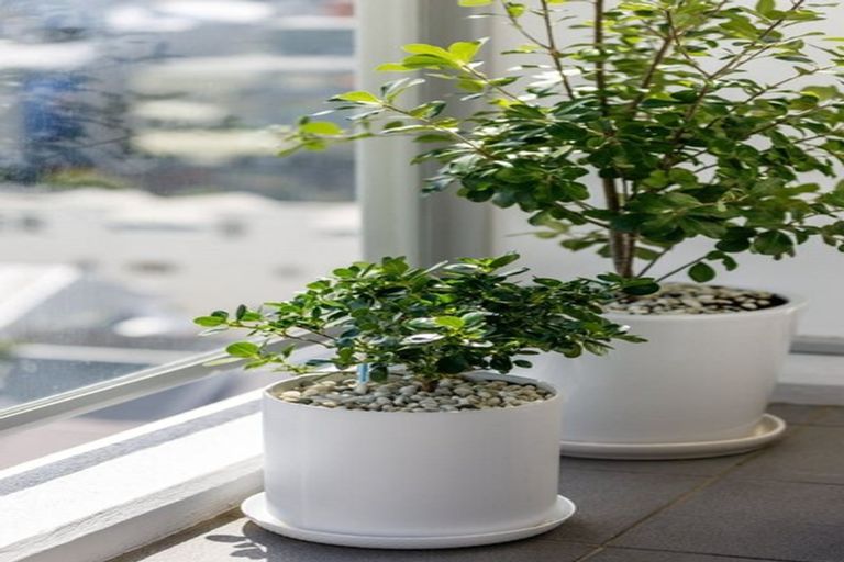 Photo of property in Soho Apartments, 1221/74 Taranaki Street, Te Aro, Wellington, 6011