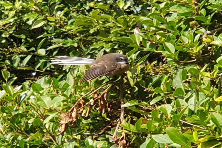 Photo of property in 1864 State Highway 1, Tuamarina, Blenheim, 7273